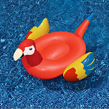 Giant Inflatable Parrots Floating Bed | Little Miss Meteo