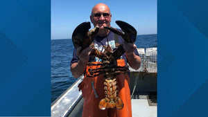 UNREAL: Giant Lobster Caught Off the East Coast of USA 