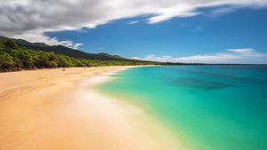 Hawaii is a destination renowned for its pristine beaches, crystal-clear waters, and stunning landscapes.