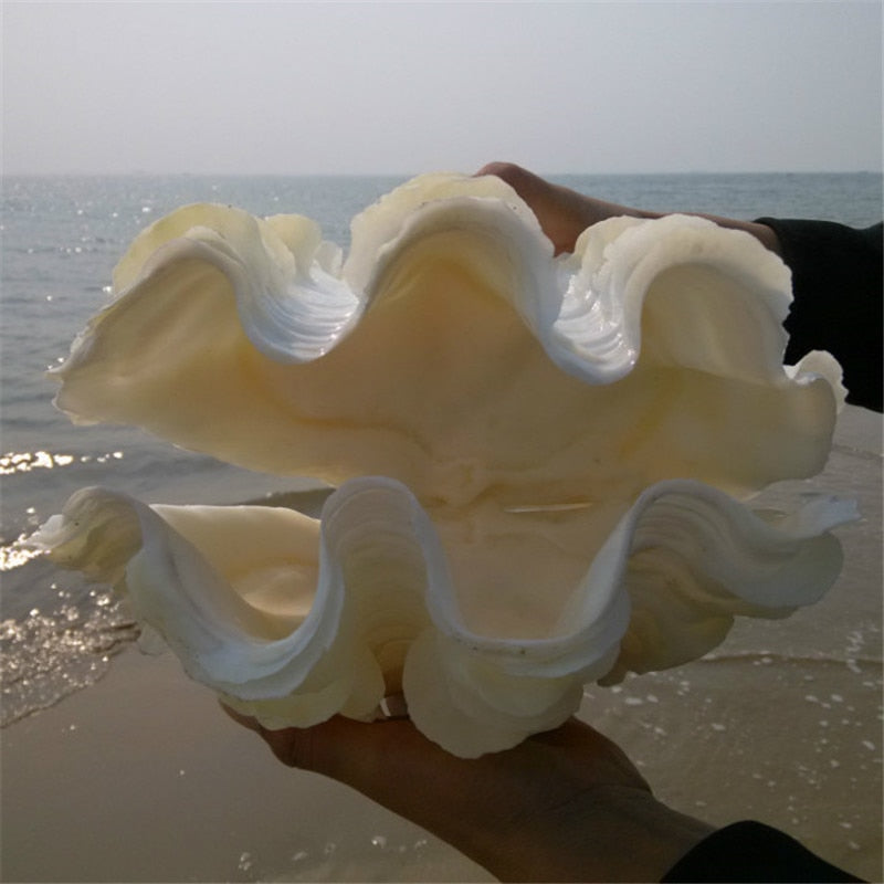 Giant Clam Shells | Little Miss Meteo