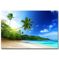 Palm Trees and Beach Silk Posters