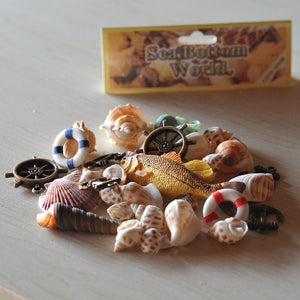 Seashells Ornaments | Little Miss Meteo