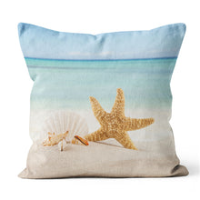 Beach Starfish & Shells | Little Miss Meteo