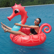 Giant Inflatable Seahorse | Little Miss Meteo